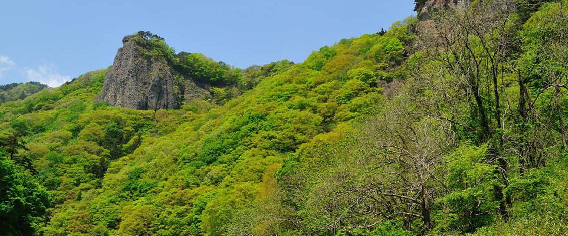 basen-shinruoku-1-1300x750-min spring